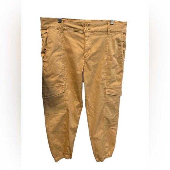 Sanctuary Rebel Relaxed Cargo Pant Jogger Size 31 Camel Dark Khaki Utility - Picture 9 of 9